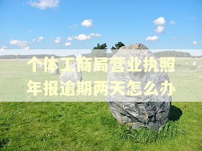 个体工商局营业执照年报逾期两天怎么办