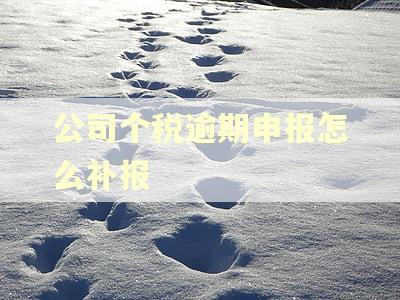 公司个税逾期申报怎么补报