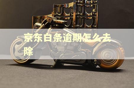 京东白条逾期怎么去除