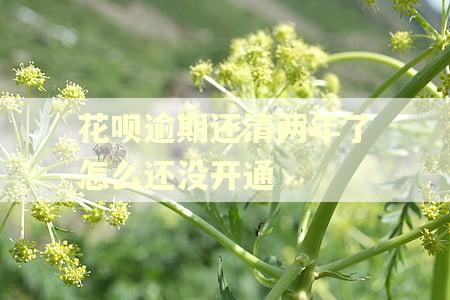 花呗逾期还清两年了怎么还没开通