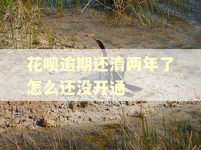 花呗逾期还清两年了怎么还没开通