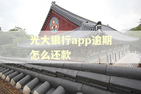 光大银行app逾期怎么还款