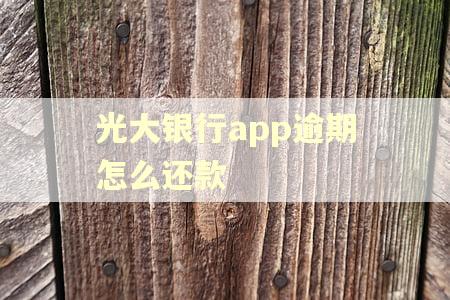 光大银行app逾期怎么还款