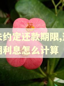 未约定还款期限,逾期利息怎么计算