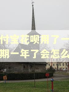 支付宝花呗用了一千逾期一年了会怎么样