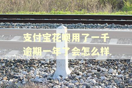 支付宝花呗用了一千逾期一年了会怎么样