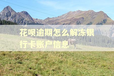 花呗逾期怎么解冻银行卡账户信息