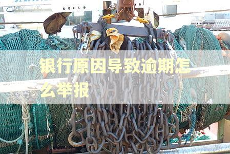 银行原因导致逾期怎么举报