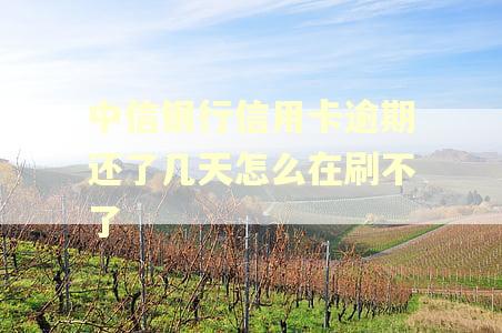 中信银行信用卡逾期还了几天怎么在刷不了