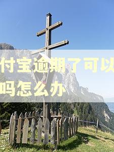 支付宝逾期了可以开店吗怎么办