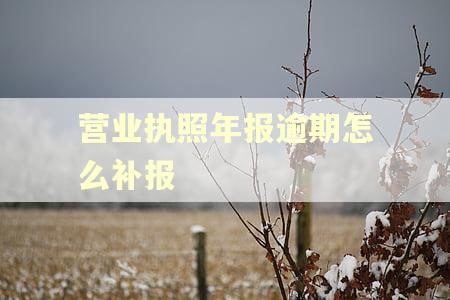 营业执照年报逾期怎么补报