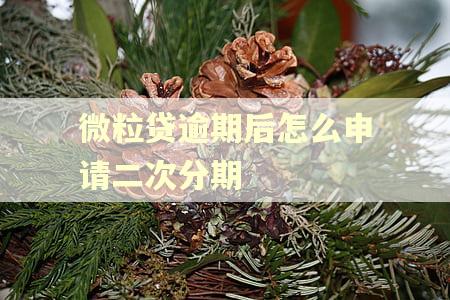 微粒贷逾期后怎么申请二次分期