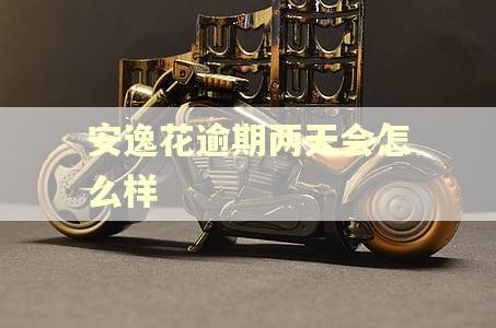安逸花逾期两天会怎么样