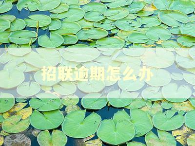 招联逾期怎么办