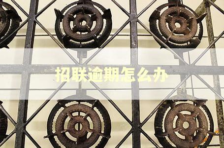 招联逾期怎么办 招联逾期怎么办