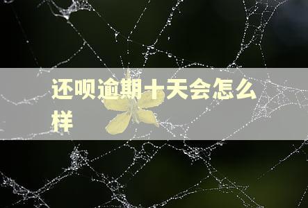 还呗逾期十天会怎么样