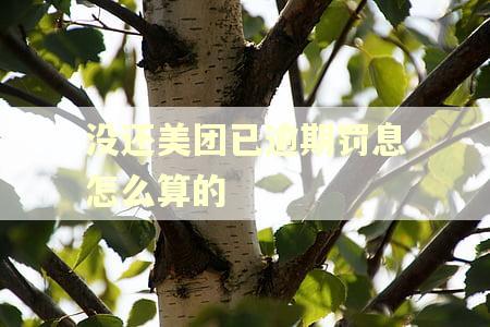 没还美团已逾期罚息怎么算的 没还美团已逾期罚息怎么算的
