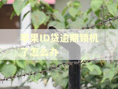 苹果ID贷逾期锁机了怎么办
