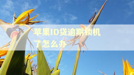 苹果ID贷逾期锁机了怎么办
