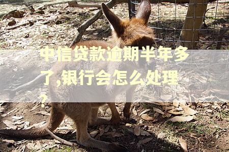 中信贷款逾期半年多了,银行会怎么处理?