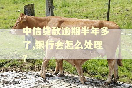 中信贷款逾期半年多了,银行会怎么处理?
