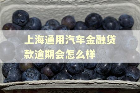 上海通用汽车金融贷款逾期会怎么样
