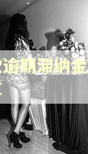 贷款逾期滞纳金怎么计算