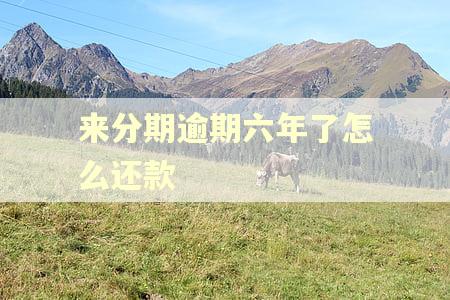 来分期逾期六年了怎么还款