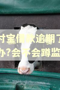 支付宝借款逾期了怎么办?会不会蹲监狱