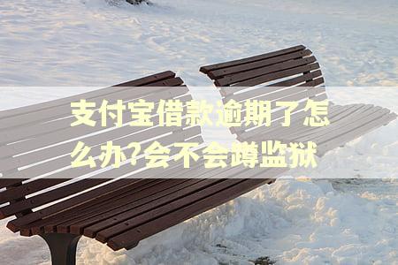 支付宝借款逾期了怎么办?会不会蹲监狱 支付宝借款逾期了怎么办?会不会蹲监狱