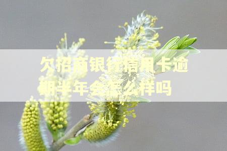 欠招商银行信用卡逾期半年会怎么样吗