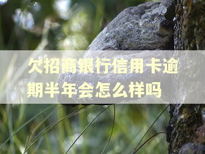 欠招商银行信用卡逾期半年会怎么样吗