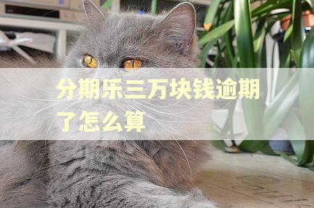 分期乐三万块钱逾期了怎么算