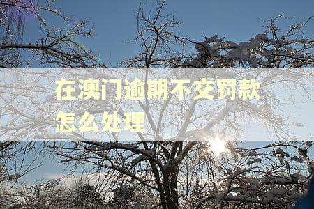 在澳门逾期不交罚款怎么处理