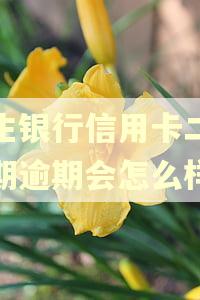 民生银行信用卡二次分期逾期会怎么样