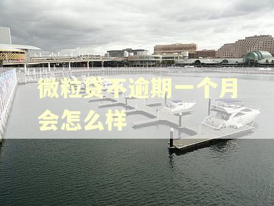 微粒贷不逾期一个月会怎么样