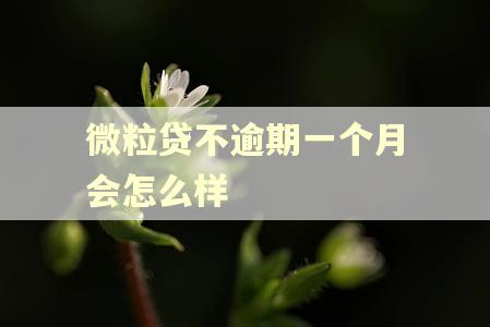 微粒贷不逾期一个月会怎么样 微粒贷不逾期一个月会怎么样