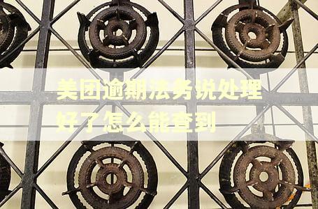 美团逾期法务说处理好了怎么能查到
