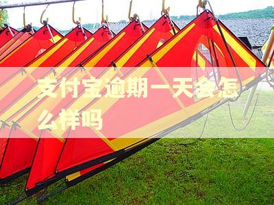 支付宝逾期一天会怎么样吗