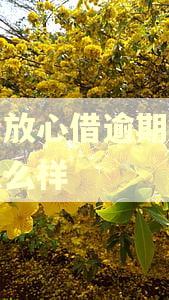 抖音放心借逾期几天会怎么样