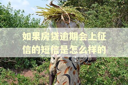 如果房贷逾期会上征信的短信是怎么样的