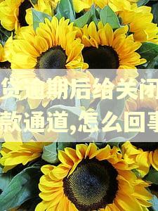网贷逾期后给关闭了还款通道,怎么回事