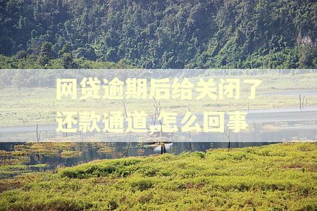 网贷逾期后给关闭了还款通道,怎么回事 网贷逾期后给关闭了还款通道,怎么回事