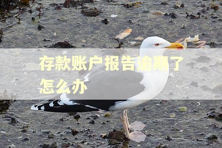 存款账户报告逾期了怎么办