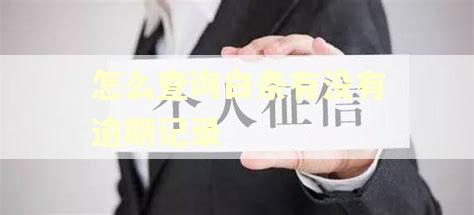 怎么查询白条有没有逾期记录