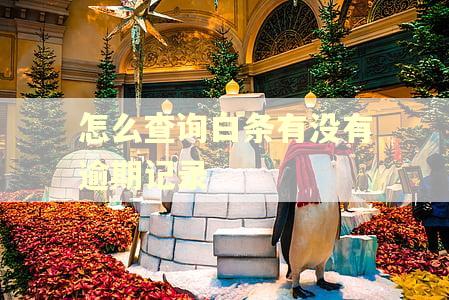 怎么查询白条有没有逾期记录