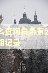 怎么查询白条有没有逾期记录
