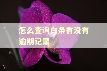 怎么查询白条有没有逾期记录 怎么查询白条有没有逾期记录