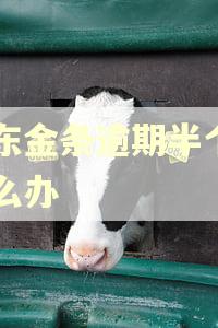 京东金条逾期半个月怎么办