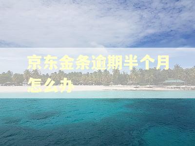 京东金条逾期半个月怎么办